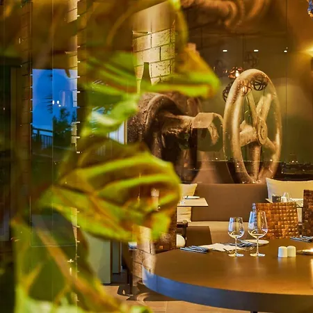 Saccharum - And - Savoy Signature Resort