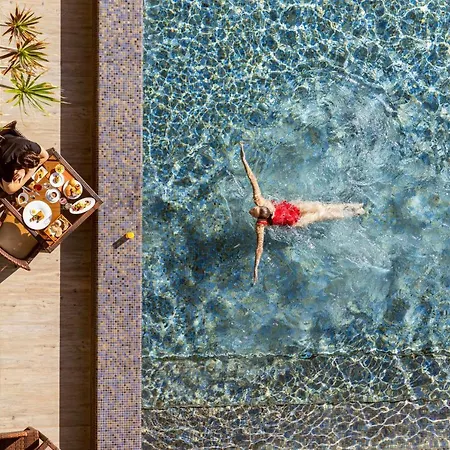 Saccharum - And - Savoy Signature Hotel