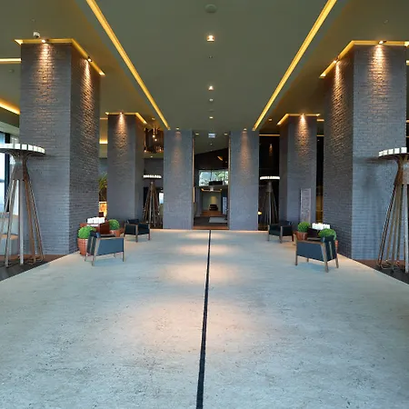 Saccharum - And - Savoy Signature Resort