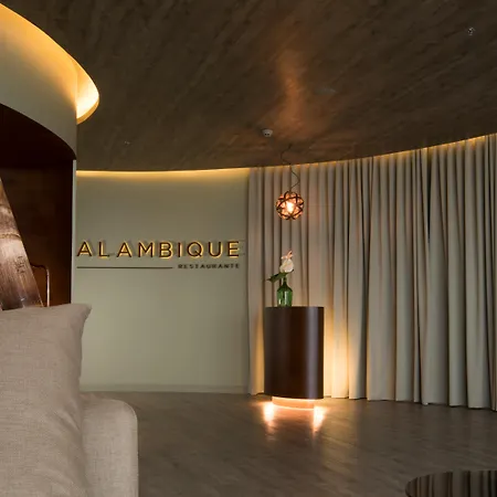 Saccharum - And - Savoy Signature