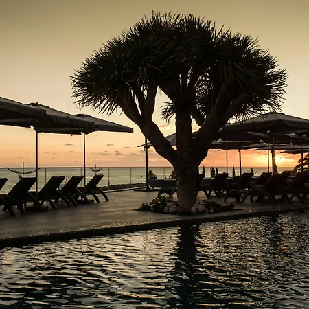 Saccharum - And - Savoy Signature Hotel