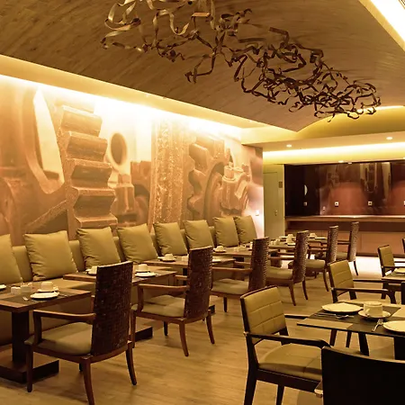 Saccharum - And - Savoy Signature