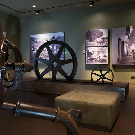 Saccharum - And - Savoy Signature