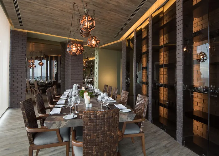 Saccharum - And - Savoy Signature קלייטה