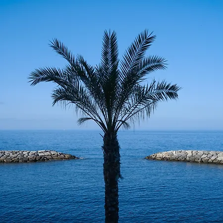 فندق Saccharum - And - Savoy Signature 5*