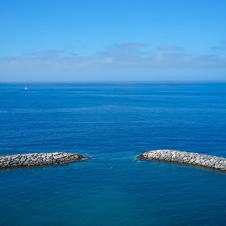 Saccharum - And - Savoy Signature