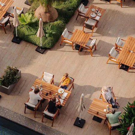 Saccharum - And - Savoy Signature