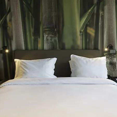 Saccharum - And - Savoy Signature Calheta