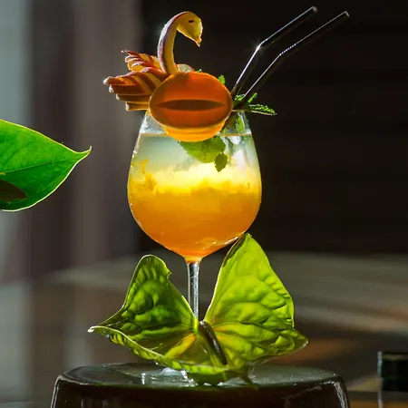 Saccharum - And - Savoy Signature Calheta