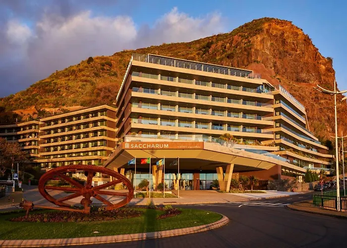 Saccharum - And - Savoy Signature 5*