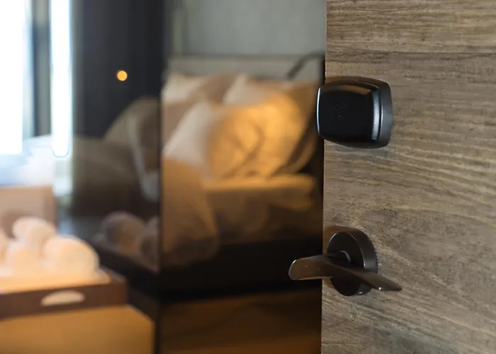 Saccharum - And - Savoy Signature Hotel