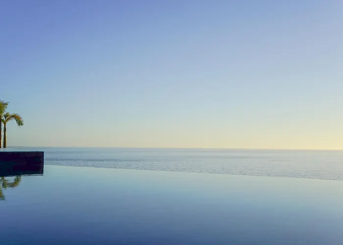 Saccharum - And - Savoy Signature 5*