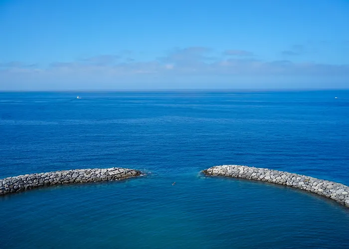 Saccharum - And - Savoy Signature