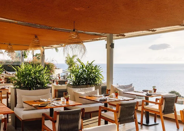 Saccharum - And - Savoy Signature 卡列塔