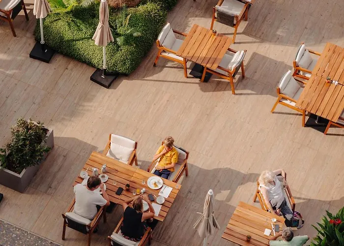 Saccharum - And - Savoy Signature