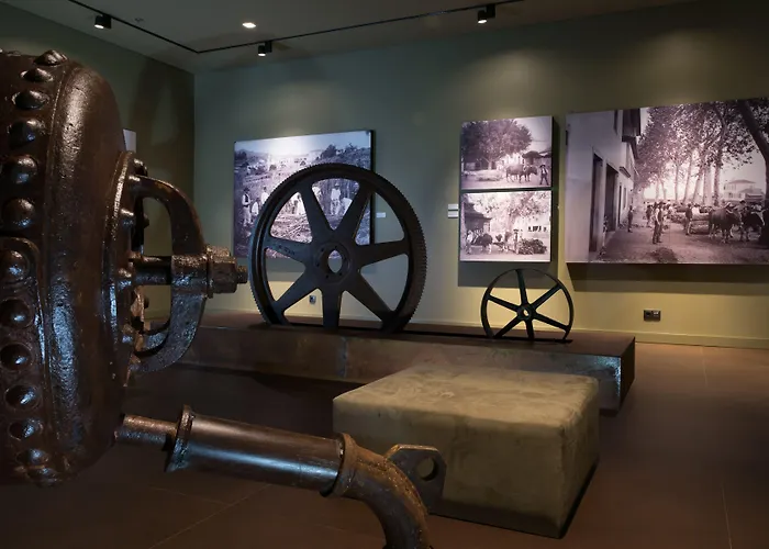 Saccharum - And - Savoy Signature